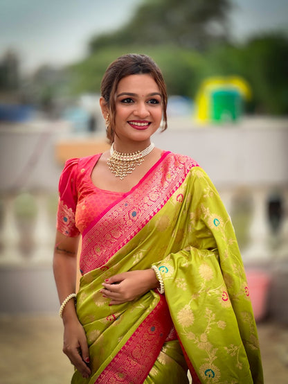 Catalog Designer Saree