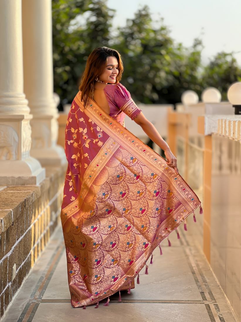 Catalog Designer Saree