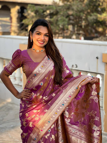 Catalog Designer Saree