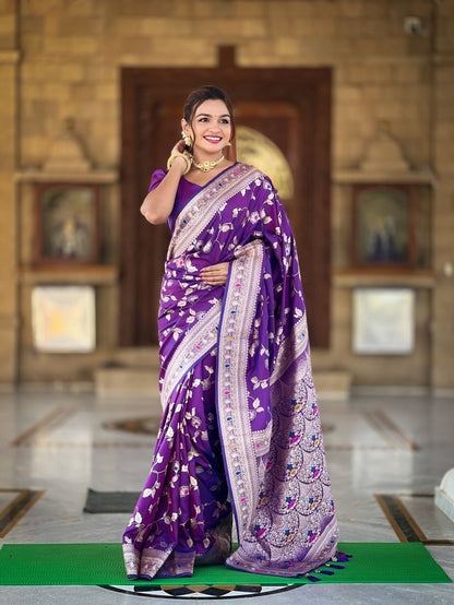 Catalog Designer Saree