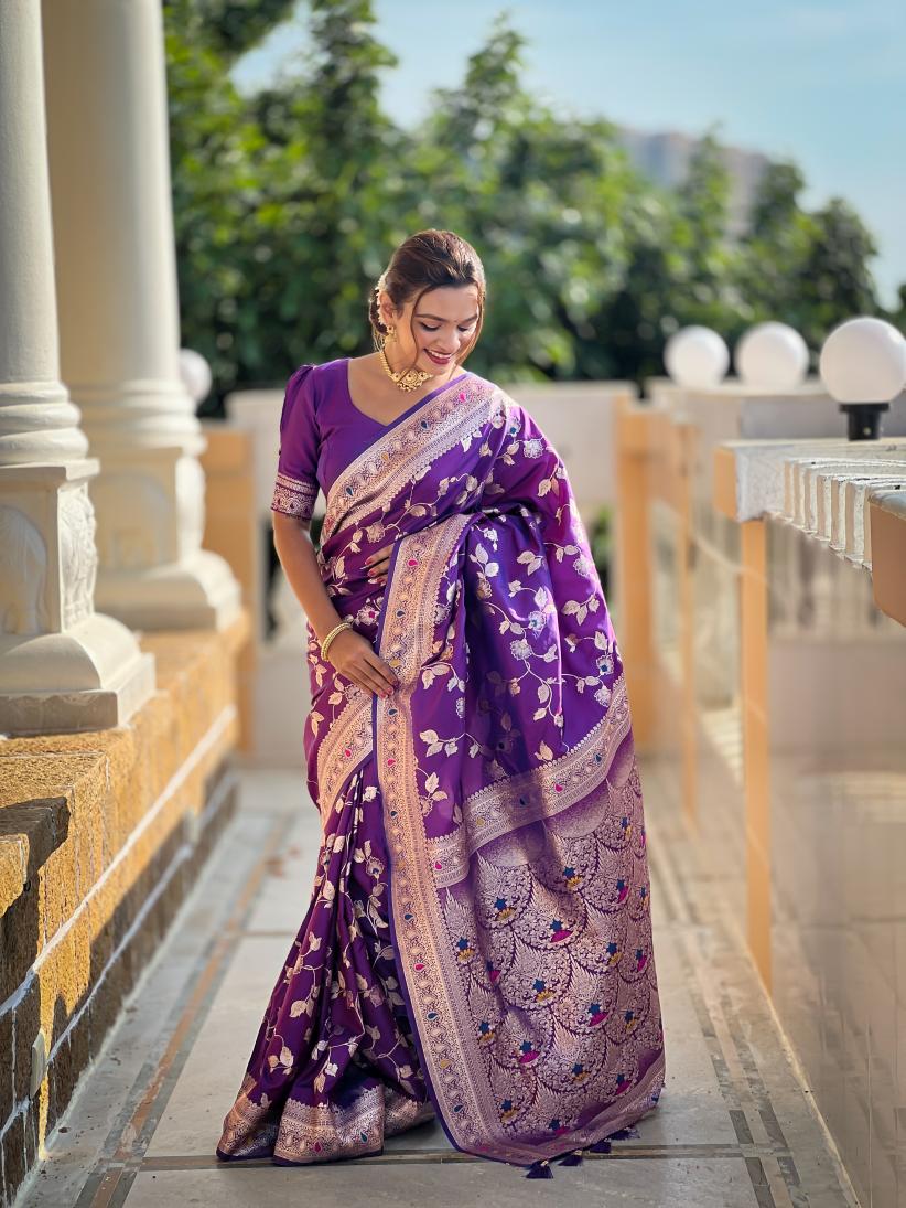 Catalog Designer Saree