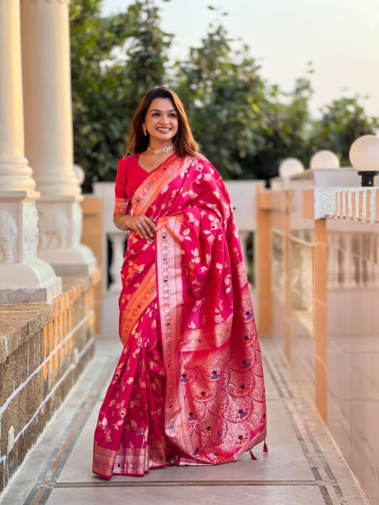 Catalog Designer Saree