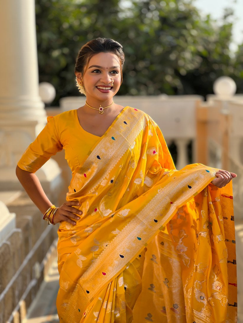 Catalog Designer Saree