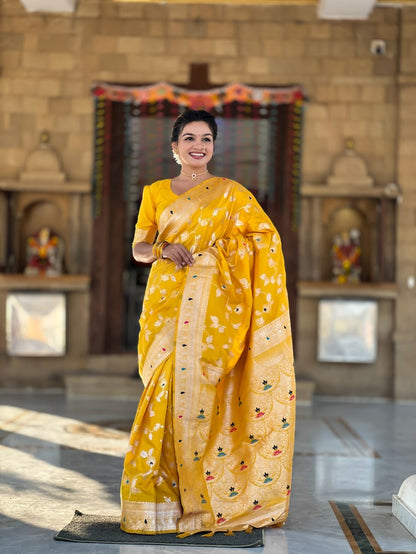 Catalog Designer Saree