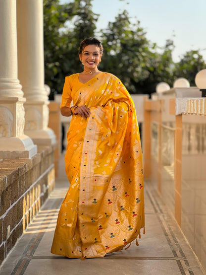 Catalog Designer Saree