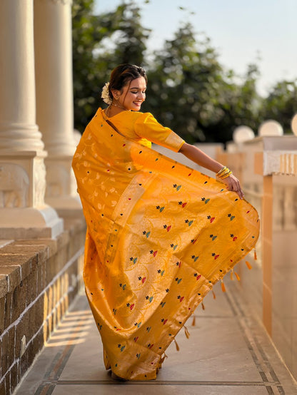 Catalog Designer Saree