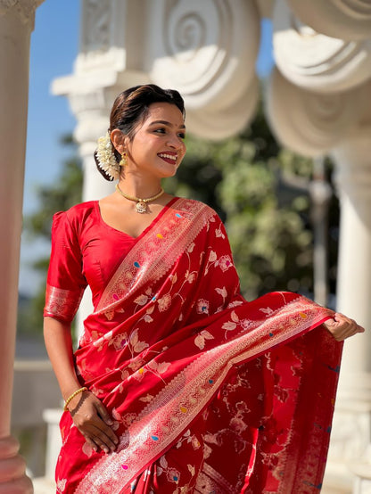 Catalog Designer Saree