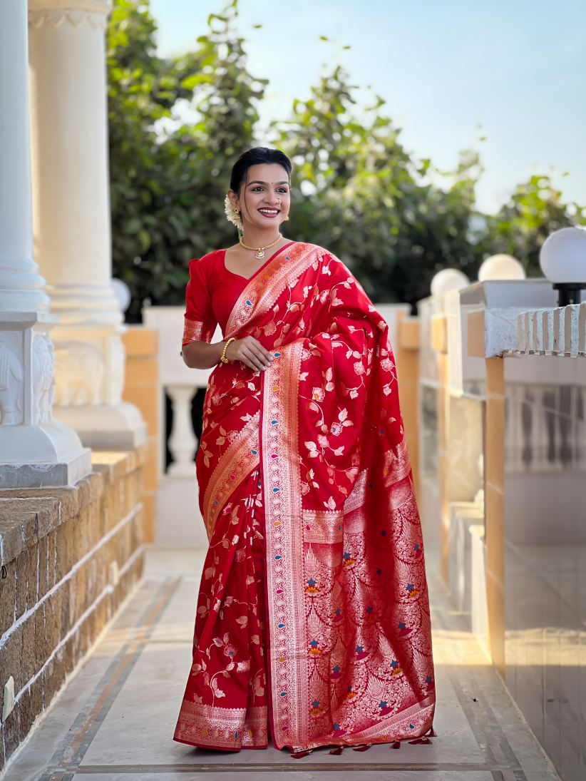 Catalog Designer Saree