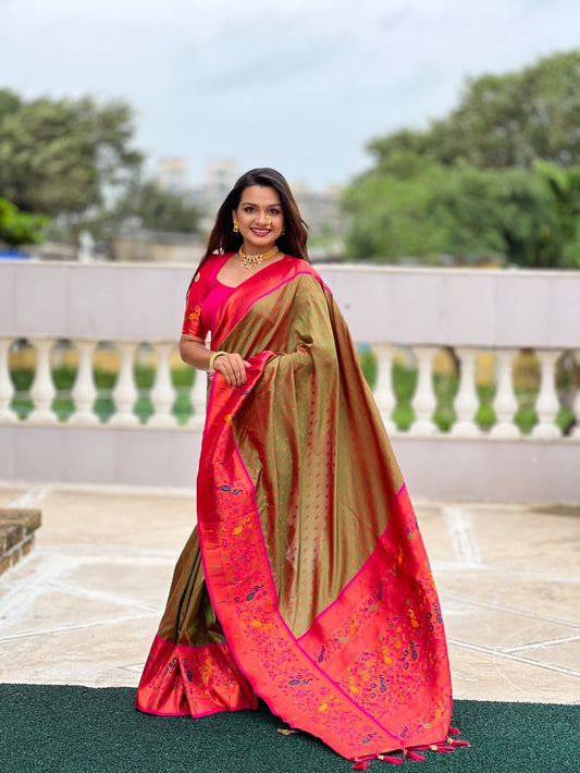 Catalog Designer Saree