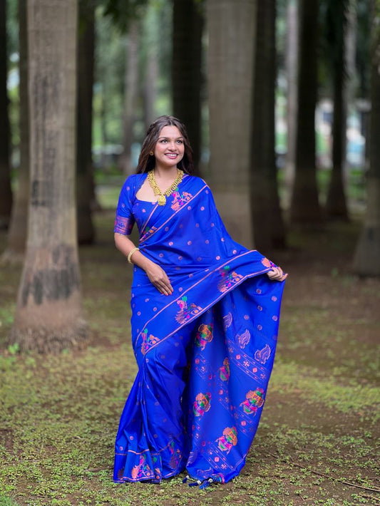 Catalog Designer Saree