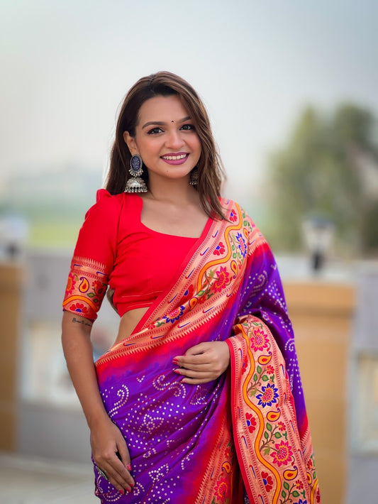 Catalog Designer Saree