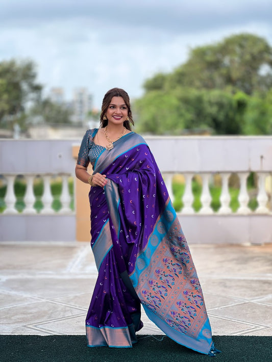 Catalog Designer Saree