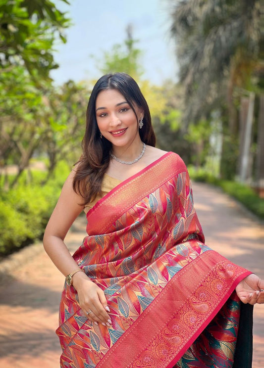 Catalog Designer Saree