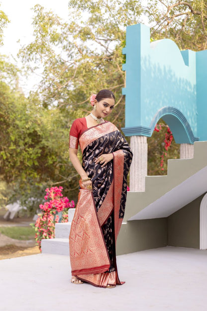 Catalog Designer Saree