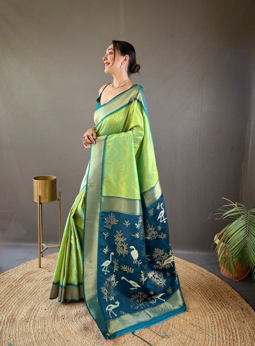 Catalog Designer Saree