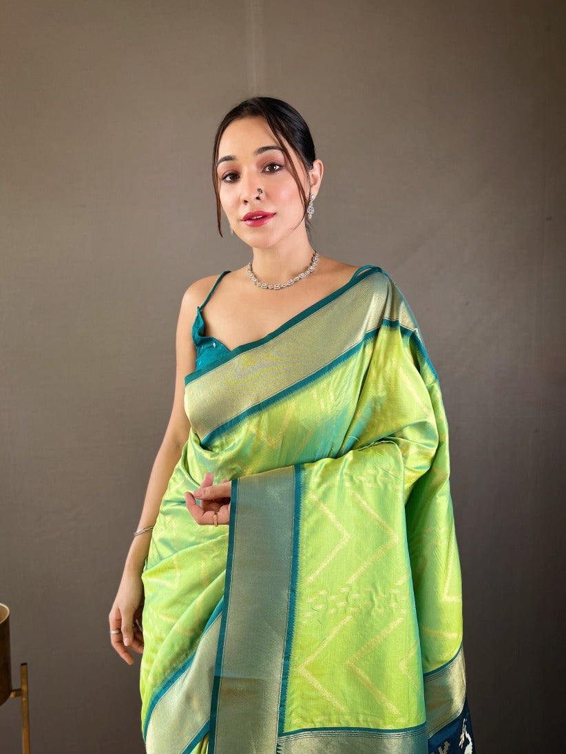 Catalog Designer Saree