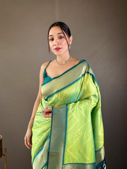 Catalog Designer Saree