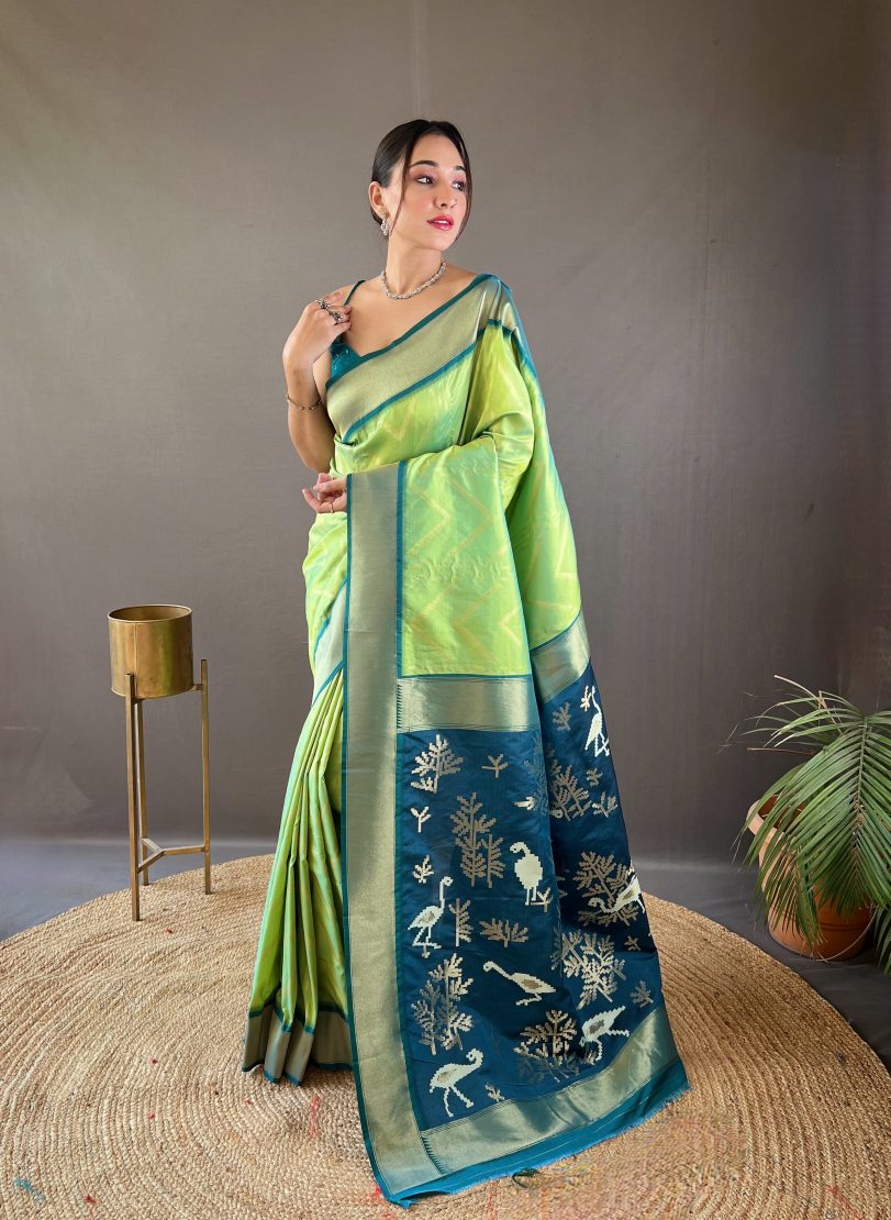 Catalog Designer Saree