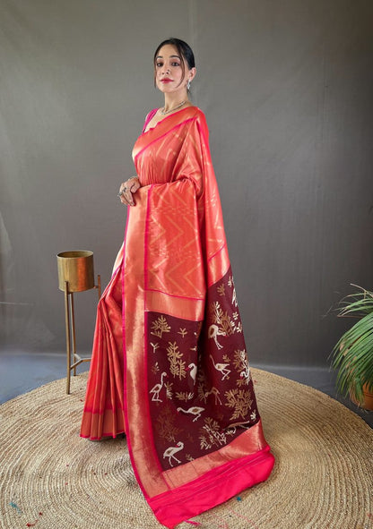 Catalog Designer Saree
