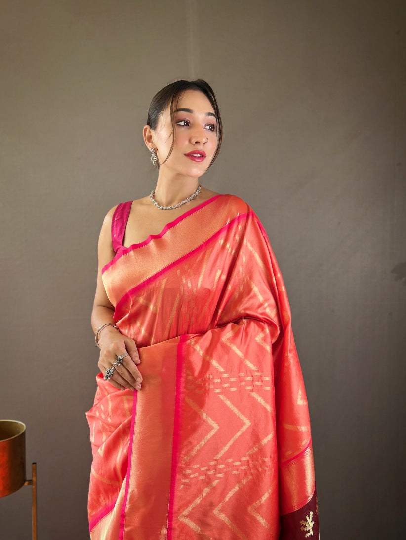 Catalog Designer Saree