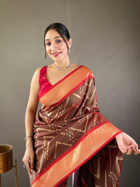 Catalog Designer Saree