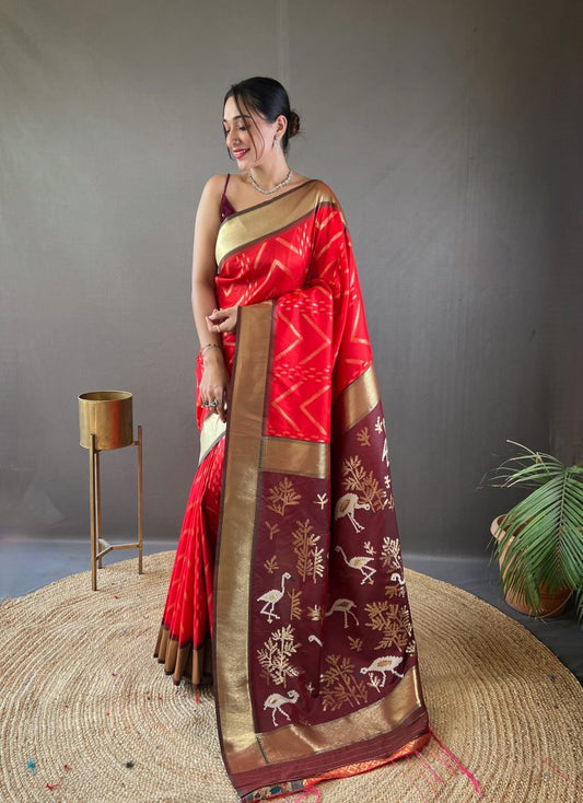 Catalog Designer Saree