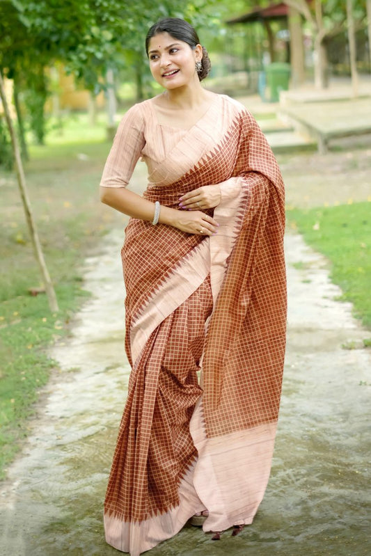 Catalog Designer Saree