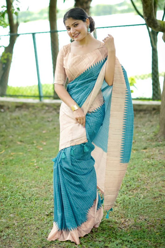 Catalog Designer Saree