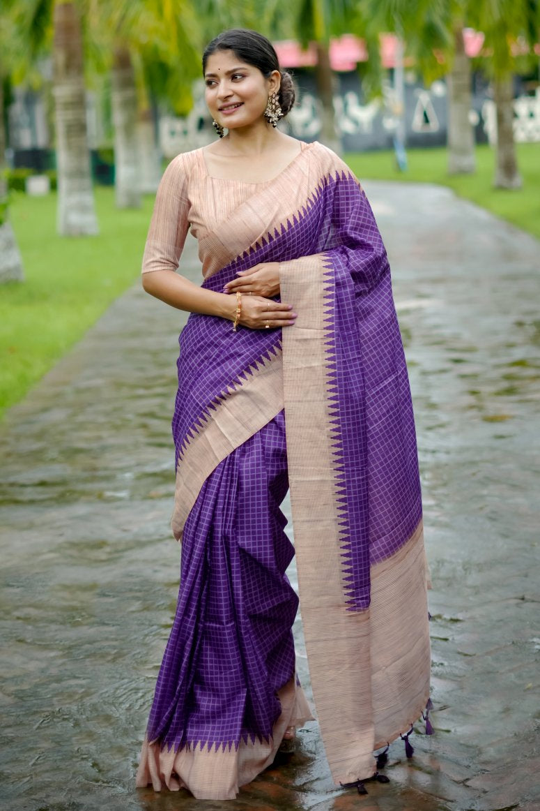 Catalog Designer Saree