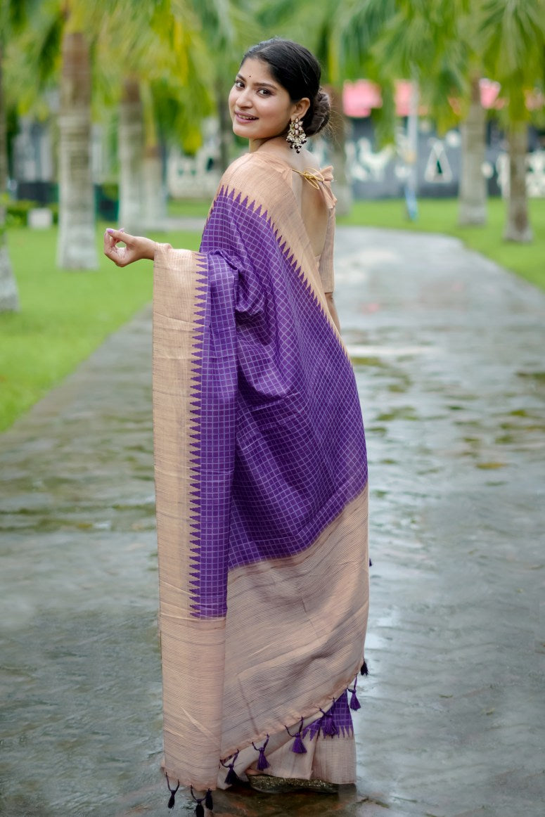 Catalog Designer Saree