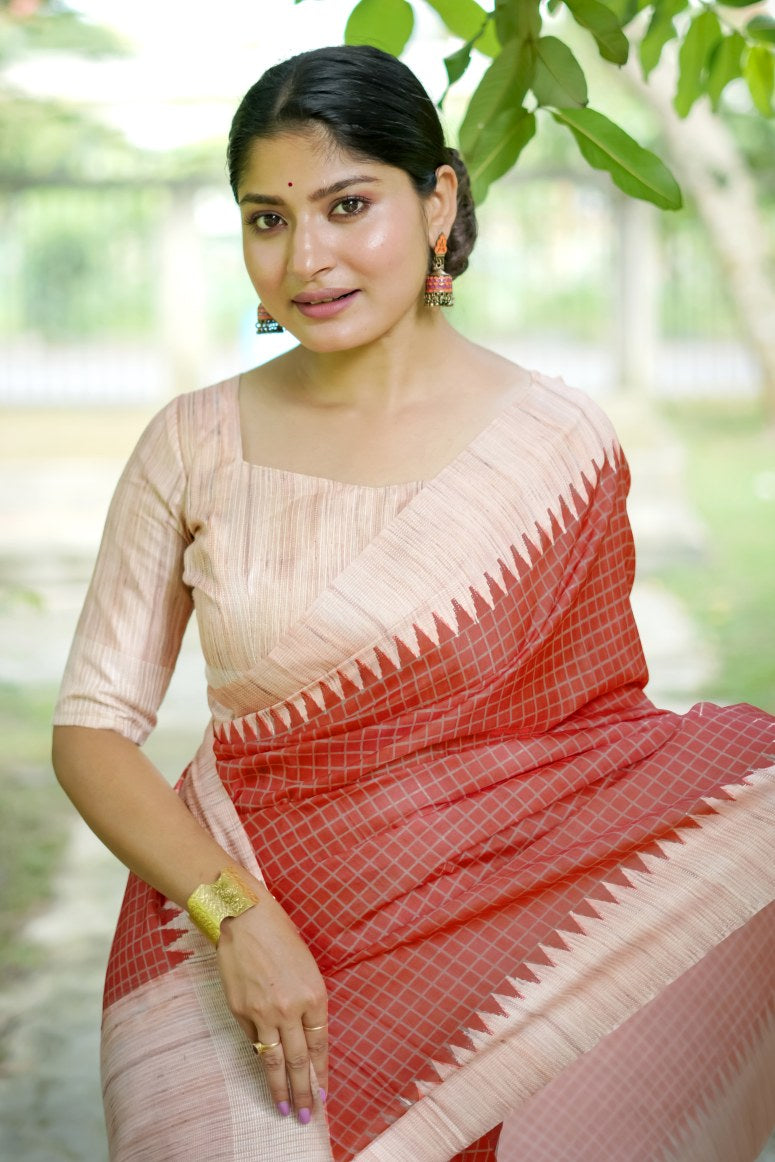 Catalog Designer Saree