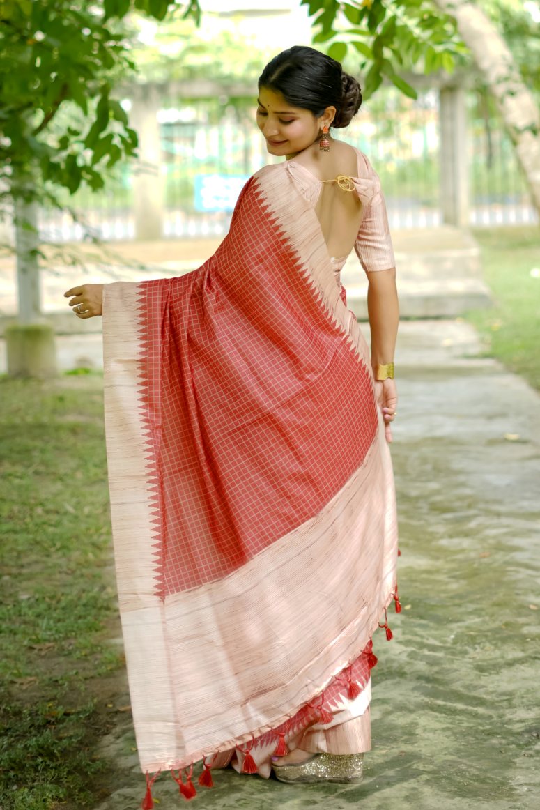 Catalog Designer Saree