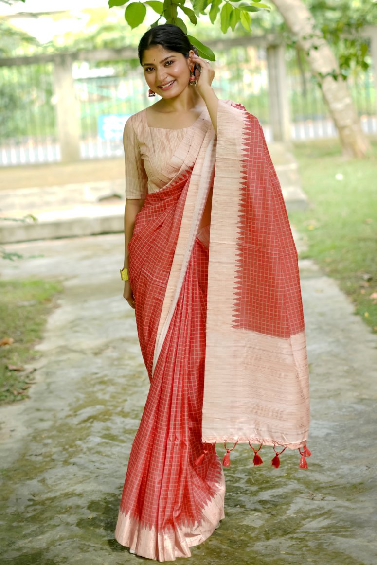 Catalog Designer Saree