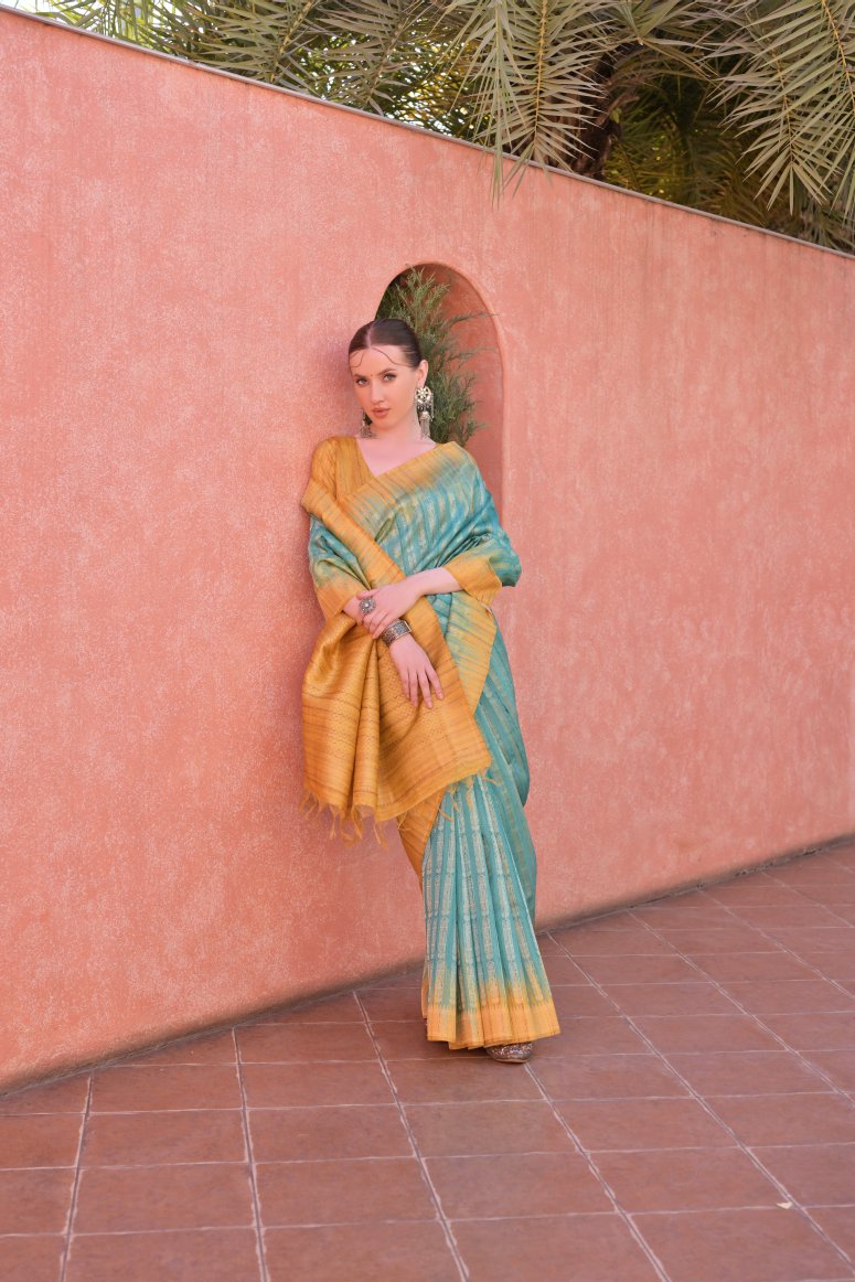 Catalog Designer Saree