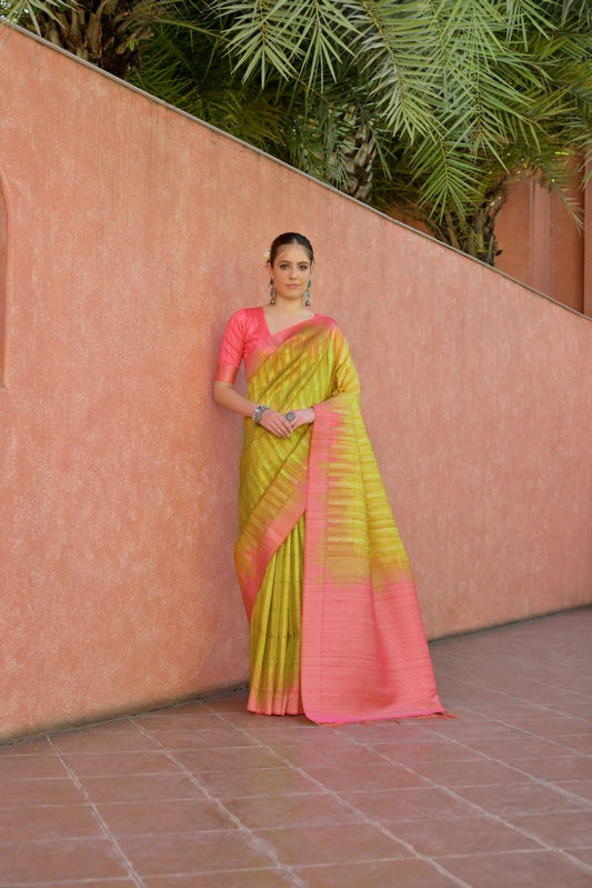 Catalog Designer Saree