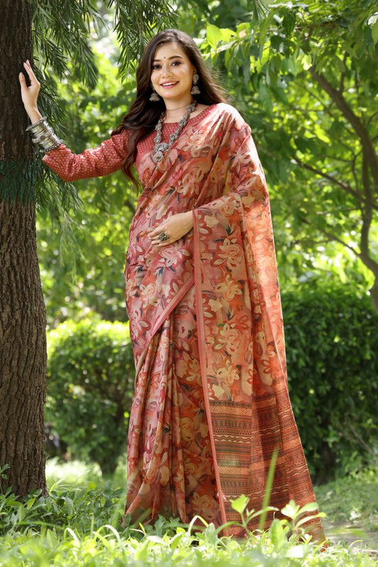 Catalog Designer Saree