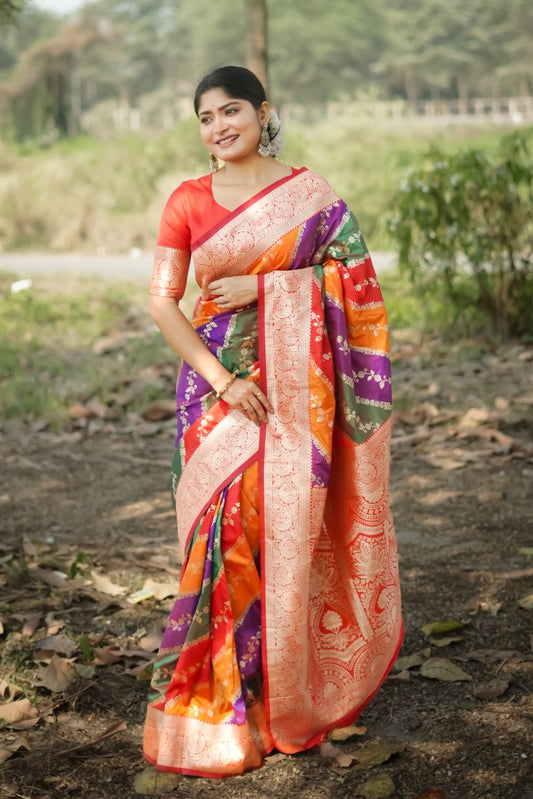 Catalog Designer Saree
