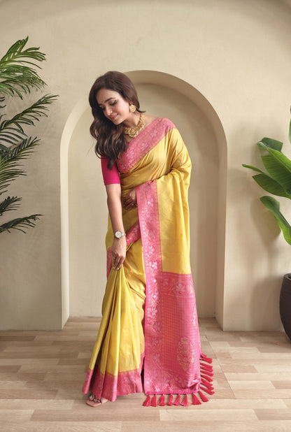 Catalog Designer Saree.