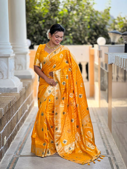 Catalog Designer Saree.