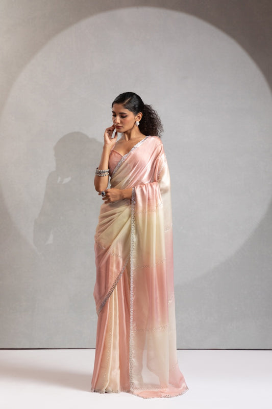 Catalog Designer Saree.