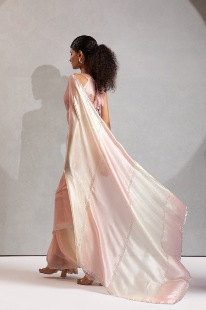 Catalog Designer Saree.