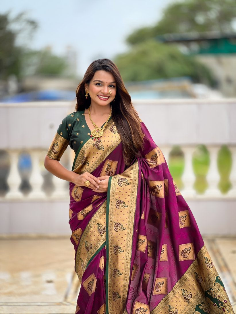 Catalog Designer Saree.