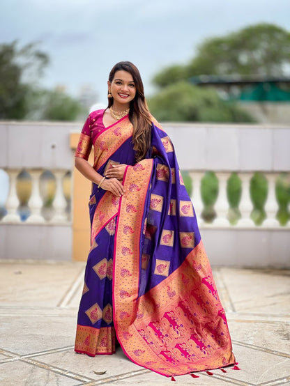 Catalog Designer Saree.