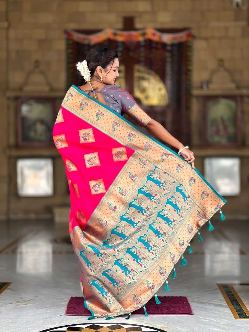 Catalog Designer Saree.
