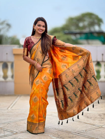 Catalog Designer Saree.