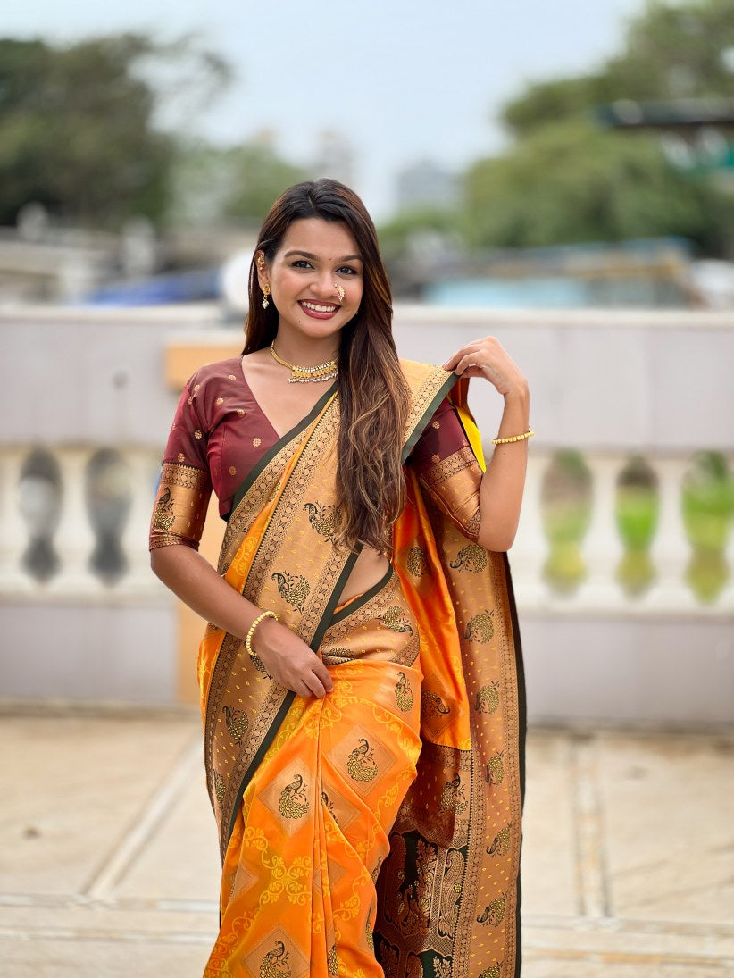 Catalog Designer Saree.