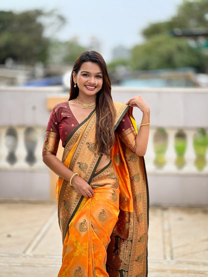 Catalog Designer Saree.