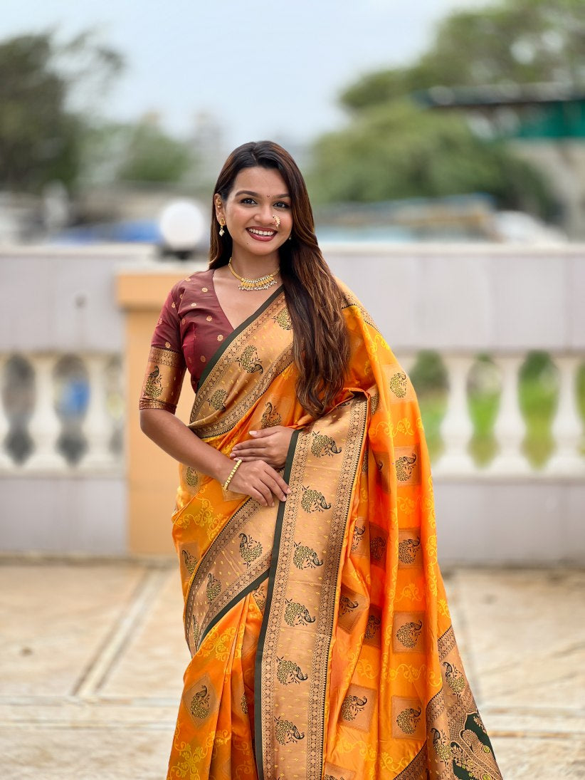 Catalog Designer Saree.