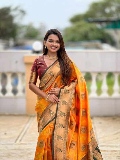 Catalog Designer Saree.