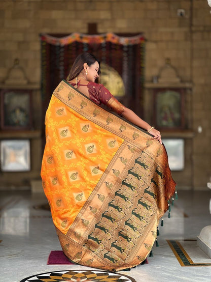 Catalog Designer Saree.